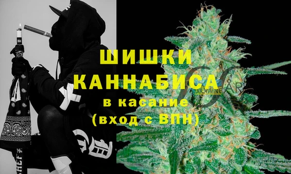 PSILOCYBIN Абдулино