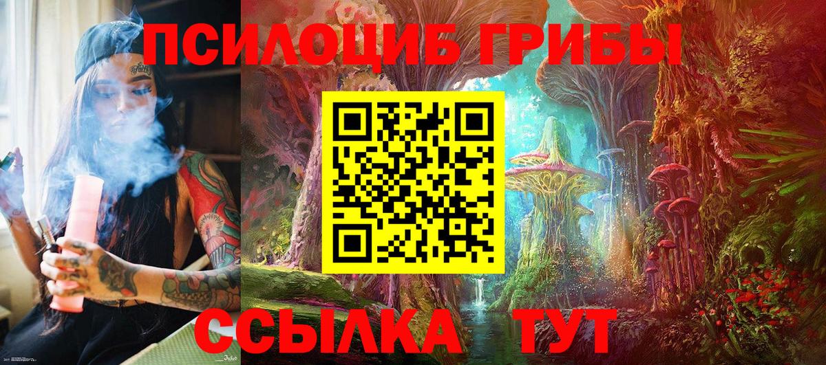 Алапаевск  Галлюциногенные грибы прущие грибы  Вход с VPN  Псилоцибиновые грибы прущие грибы 